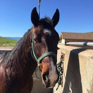 Meet your Posher, Matthew